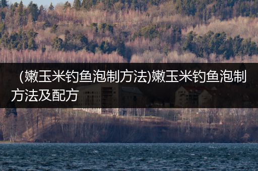 （嫩玉米钓鱼泡制方法)嫩玉米钓鱼泡制方法及配方