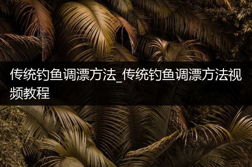 传统钓鱼调漂方法_传统钓鱼调漂方法视频教程