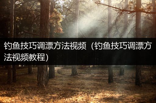 钓鱼技巧调漂方法视频（钓鱼技巧调漂方法视频教程）