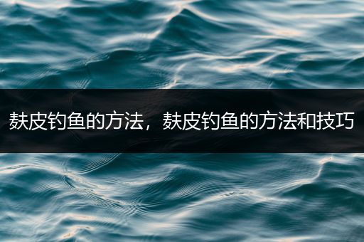 麸皮钓鱼的方法，麸皮钓鱼的方法和技巧