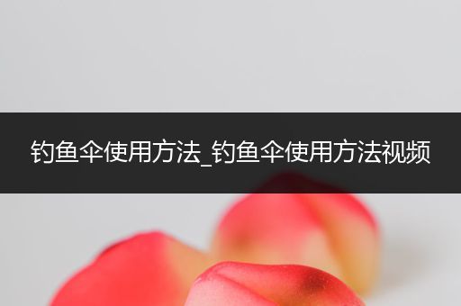 钓鱼伞使用方法_钓鱼伞使用方法视频