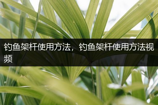 钓鱼架杆使用方法，钓鱼架杆使用方法视频