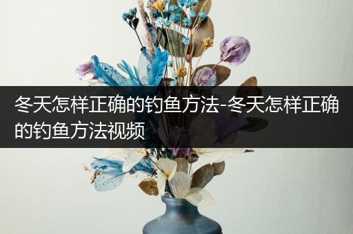 冬天怎样正确的钓鱼方法-冬天怎样正确的钓鱼方法视频