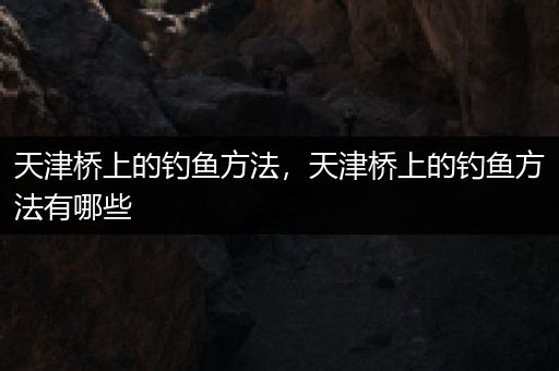 天津桥上的钓鱼方法，天津桥上的钓鱼方法有哪些