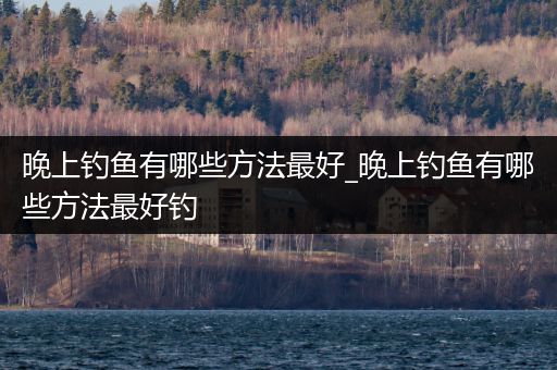 晚上钓鱼有哪些方法最好_晚上钓鱼有哪些方法最好钓