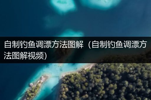 自制钓鱼调漂方法图解（自制钓鱼调漂方法图解视频）