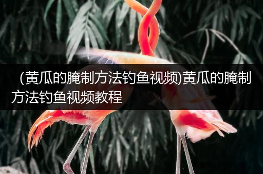 （黄瓜的腌制方法钓鱼视频)黄瓜的腌制方法钓鱼视频教程