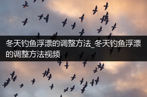 冬天钓鱼浮漂的调整方法_冬天钓鱼浮漂的调整方法视频