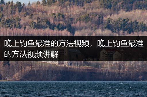 晚上钓鱼最准的方法视频，晚上钓鱼最准的方法视频讲解