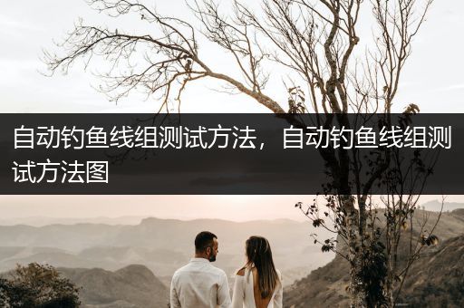 自动钓鱼线组测试方法，自动钓鱼线组测试方法图