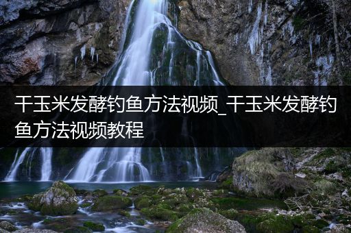 干玉米发酵钓鱼方法视频_干玉米发酵钓鱼方法视频教程