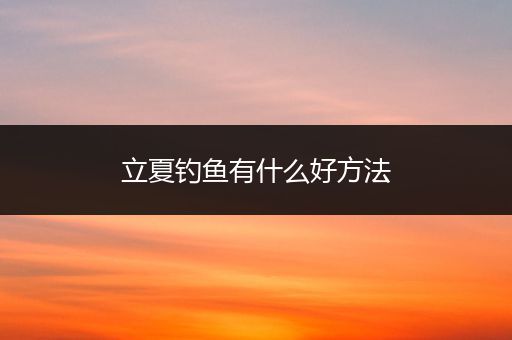 立夏钓鱼有什么好方法