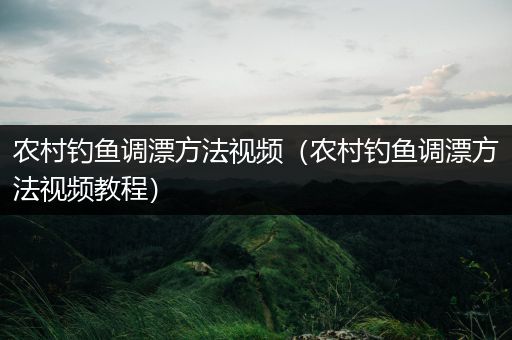 农村钓鱼调漂方法视频（农村钓鱼调漂方法视频教程）