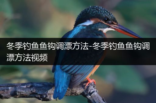 冬季钓鱼鱼钩调漂方法-冬季钓鱼鱼钩调漂方法视频